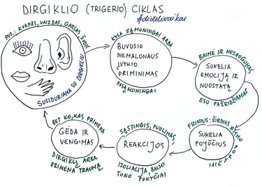 Dirgiklio ciklas dideli vaikai schema