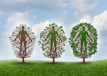 Restore and recover therapies