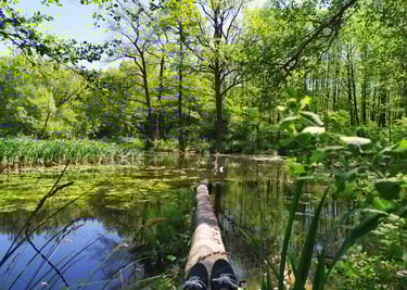 A person's feet on a log in the woods