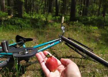 A person holding a strawberry on a bike