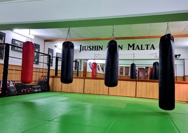 Jiushin Kan | Jiu-Jitsu | Martial Arts | Dojo | Malta