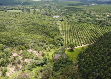 Compensação Ambiental