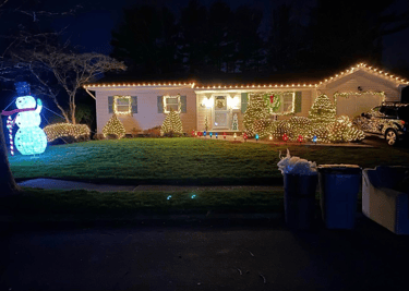 Professional Holiday Lighting