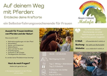 Selbsterfahrungswochenende  Frauen , tiergestützte Therapie, pferdegestützte Psychotherapie,  HTFP