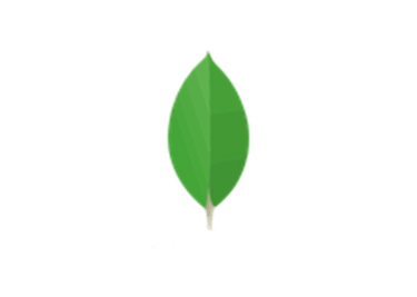 Mongo DB