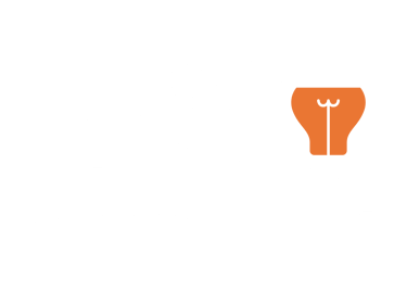 création de site internet var