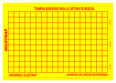 placas adhesivas para la captura de moscas en amarillo