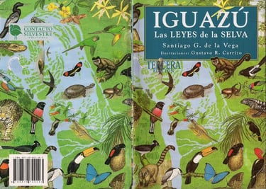 Cataratas del Iguazú 