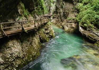Triglav National Park