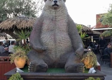 Bar Grizzlys