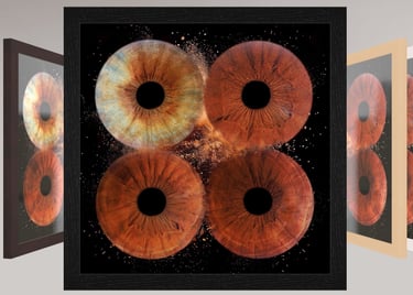 Tableau verre acrylique avec 4 iris et boite américaine