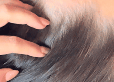 woman having hair stroked