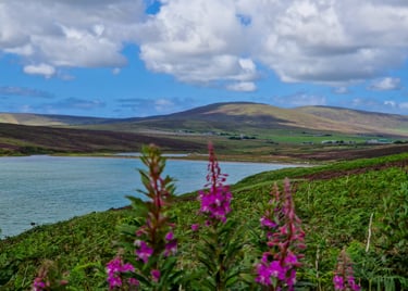 Waulkmill bay