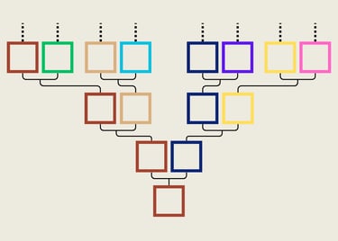 Représentation d'un arbre généalogique vide avec des cases colorées par nom de famille.