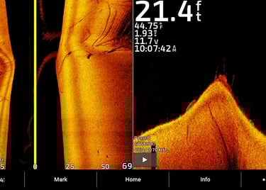 Garmin sonar images of branches and rocks on side view and down view