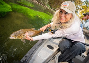 Fly Fishing the South Holston River
