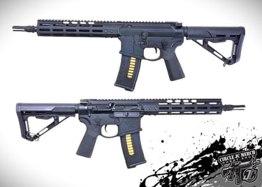 TXNSBR-10B_2