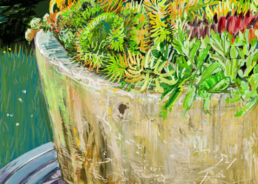 Sempervariums - digital drawing