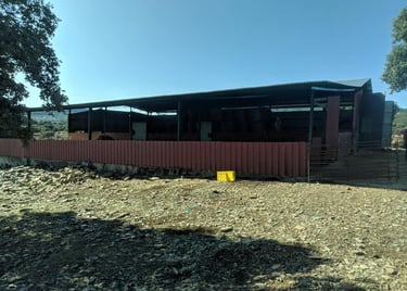 Proyecto de legalización nave ganadera