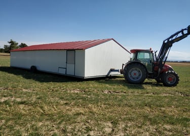 Proyecto Gallinero portátil móvil gallinas