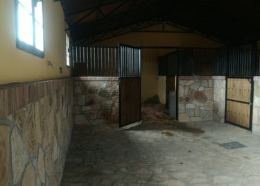 Proyecto de Actividad para yeguada de caballos