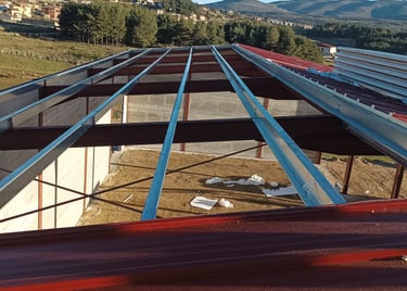 nave agrícola vista de correas de cubierta