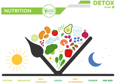 Detox Daily schedule