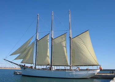 fiche technique Pascual Flores