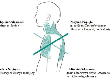 TMJ terapia stawów skroniowo-żuchwowych ból głowy fizjoterapia stomatologiczna