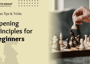 Chess Opening Principles