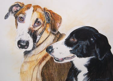 pet dog portrait artist art painting from your custom photograph colored pencil