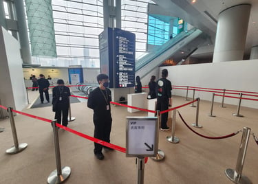 VIP preview entry at Art Basel Hong Kong 2026 with ticket-type validation
