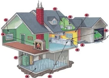 Pastebetos vietos kuriose dazniausiai aptinkamas pelesis