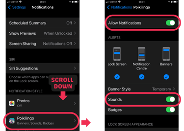 Make sure to allow Notifications & Sounds on your iOS device