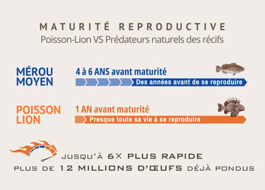 Un poisson aura produit plusieurs millions d'oeufs avant la maturité de prédateurs indigènes