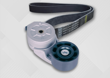 CORREAS Y TENSORES DE CORREA