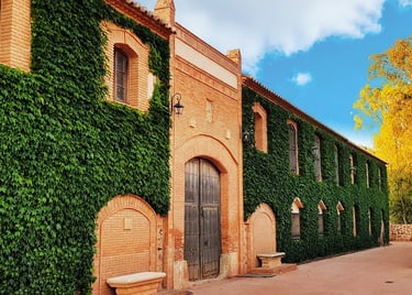 VISITA GUIADA ALMAGRO