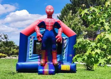 a spider - man in a spider - man costume