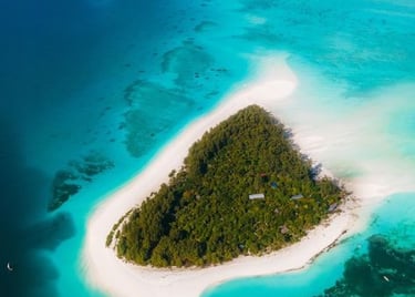 Full aerial view of Mnemba Island Zanzibar surrounded by turquoise waters and white sandy beaches.