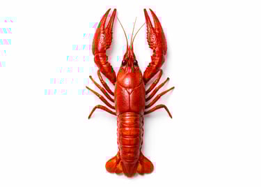 Whole crawfish seafood for bulk export markets