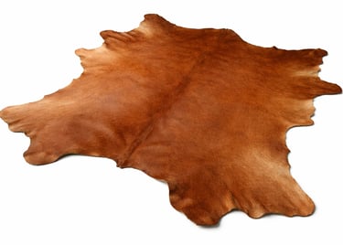 Natural raw animal hides and skins.