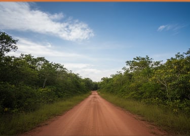 A long, red dirt road heading into a lush forest landscape under a clear sky.