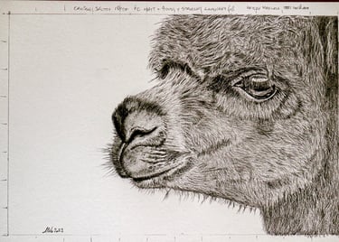 Drawing of
