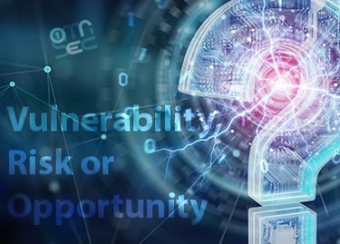 Enriquecimento de Vulnerabilidades