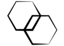 Skin Room logo.