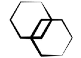 Skin Room logo.