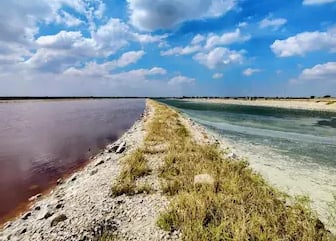 India's largest lake, Sambhar salt lake, Rajasthan.