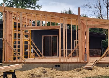 Living room addition