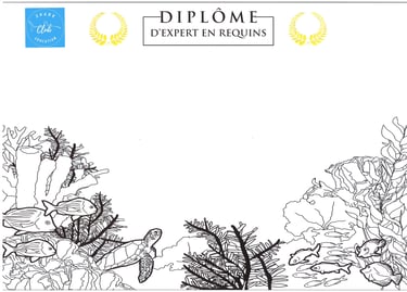 diplôme expert requins Shark Education Club