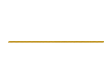 A single, horizontal gold line centered against a solid black background.